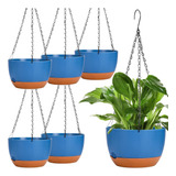 6 Pcs Solpter Change De 8 Pulgadas Para Plantas Interiores Y