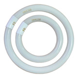 Pack X20 Tubo Circular Fluorescente 32w + Tubo Circular 22w