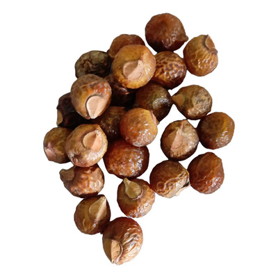100 Frutos De Jaboncillo Sapindus Saponaria | Meses sin interés