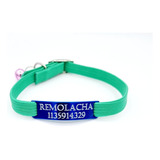 Chapita Gato Azul Pasador + Collar 1 Cm Elastizado Verde