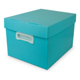 Caixa Organizadora The Best Box G 437x310x240 Vdp