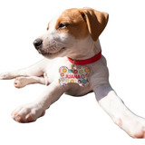 Llavero Personalizado Mascotas - Logo - Foto - Frase