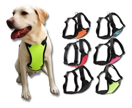 Pechera Arnés Nylon Para Perro, Paseo Seguridad Colores