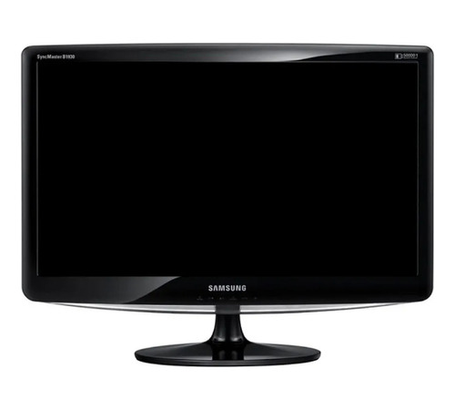 Monitor Lcd Samsung 19  Modelo B1930n