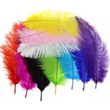 Plumas De Avestruz De 20-25 Cm, 12 Piezas