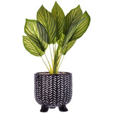 Planta Artificial Dieffenbachia Maceta Mali