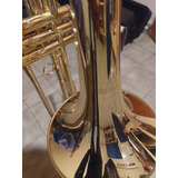 Trombón Stagg Bb Impecable 