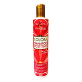 Shampoo Post-tinte Colora Nekane