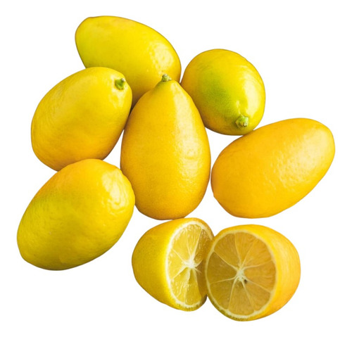 Limequat Limonero Enano Frutal Exótico