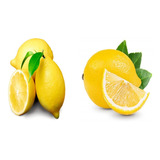 Arbolito De Limon Eureka Injertado