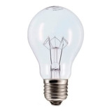 Lâmpada Bulbo Filamento 60w 220v E27 Osram 7011547 Cor Da Luz Branco-quente