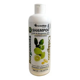 Shampoo Bergamota Y Colageno 