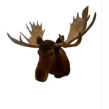 Animales Disecados 100% Artificiales Alce (moose ) Chico