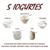 5 Iogurtes - Csy Film Viili Bulgaricus Amasi ( Kefir ) 