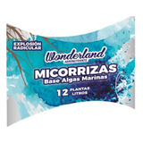 Micorrizas Wonderland