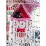 Casa Toca Duplex Pet Sagui Ferret Twister Prego Mico Outro