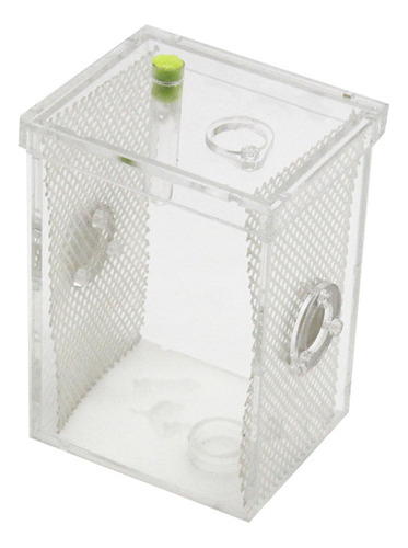 Caja De Cría Hidratante For Reptiles.