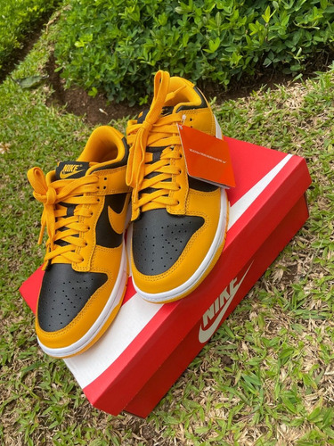 Nike Dunk Low Goldenrod