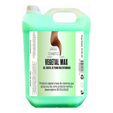 Gel Vegetal De Peinar Sin Enjuague 5 Litros 