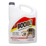 Insecticida Boom Para El Hogar Todo Tipo De Plaga 3.8 Litros