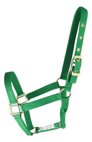 Almartigon Accesorio Para Caballo Chico