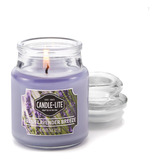 Vela 3 Oz Fresh Lavender Breeze Candle Lite (4449404)