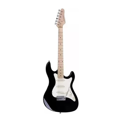 Guitarra Stratocaster Strinberg Sts100 + Alavanca