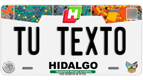 Placas Auto Metalicas Personalizadas Hidalgo