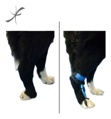 Pro 1020-30 Tornozeleira P/ Propriocepção Cães Gatos - Tam P