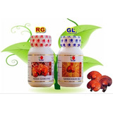 2 Reishi Gano (rg) 2 Ganocelium (gl) Dxn Una Vida Sana 2c/u