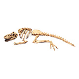 Adorno Acuario Resina Esqueleto De Tiranosaurio Rex