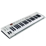 Teclado Musical Organo Midi Usb 49 Teclas Controlador Lcd