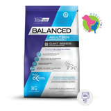 Vital Balanced Adulto Giant Gigante  X 20kg- E/gratis  Z/o