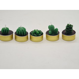 12 Velas Decorativas Cactus Tea Light Aromaticas