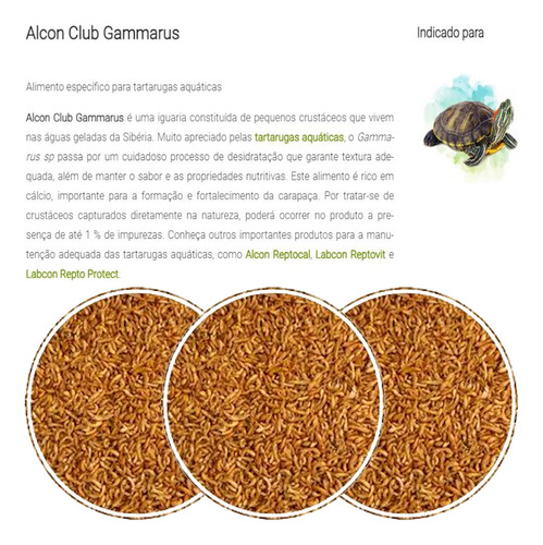 Ração Alcon Gammarus Para Tartarugas Aquáticas Pote 11g Full