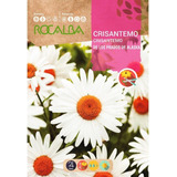 Semilla Crisantemo De Los Prados Rocalba