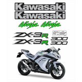 Adesivos Compatível Kawasaki Ninja 300 Zx-3r Branca Kit 017 Cor Moto Ninja 300 Zx-3r Branca