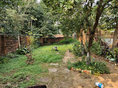 Vendo Terreno Con Casa A Demoler Zona Conmebol - Luque - Imagen 3