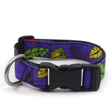 Collar Para Perro Ajustable Talla M  Tropical- Entrega Ya