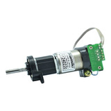 Motorreductor 12v Dc 120 Rpm  Namiki 2cl-3501pg