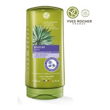 Acondicionador Rizos Definidos Yves Rocher 