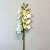 Orquidea Phalaenopsis 75cm X 7 Blanca