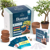 Natu Es Blossom Bonsai T Ee Kit. G Ow  Types Of Miniatu...