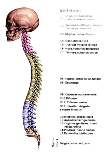 Manta Magnetica Magnetoterapia Iman Estres Ortopedica Dolor