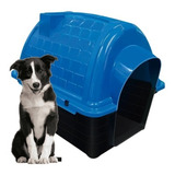 Casinha Cachorro N6 Grande Azul Cão Resistente Furacão Pet