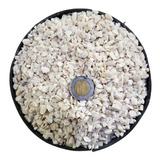 Roca Decorativa De Mármol 1kg Suculentas Cactus Blanca Ch