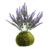 Kokedama Planta 50cm  Lavanda Flor Monstera Artificial 