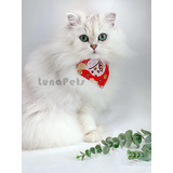 Bandana Para Gatos  Paquete De 2 | Collar Ajustable Estilo J