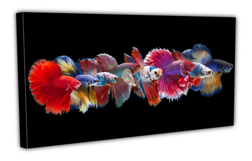 Cuadro Lienzo Canvas 70x130cm Peces Gupi Variedad Lineas