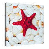 Cuadro Decorativo Canvas Fondo De Conchas Y Estrellas De Mar